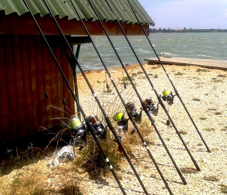 Corbu 3 - 5 iulie 2015 - 20150703124453.jpg